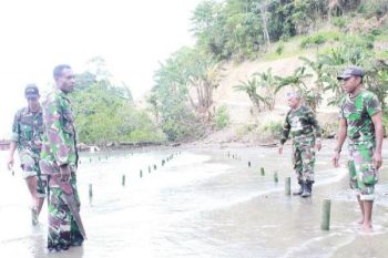 Kodim 1709/Yawa tanam mangrove di Kepulauan Yapen