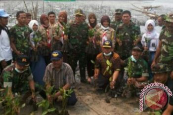 Tanam 1000 Mangrove di Kubu Kobar