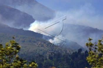 Hutan Pegunungan Muria Kudus Terbakar