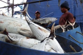 Miliki PPSC, Kapal Besar Diharapkan Bongkar Ikan di Cilacap