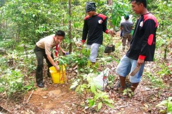 Petani Lebak Lakukan Reboisasi Penghijauan Bantaran Sungai