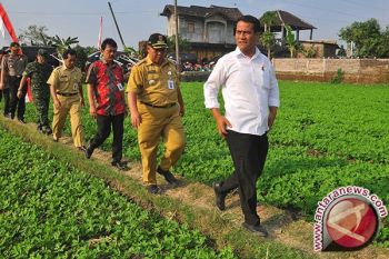 Mentan minta Petani jual hasil pertanian ke Bulog
