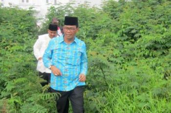 Bupati Rohil Tampung Aspirasi Masyarakat Bagansinembah Raya