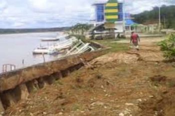 Anggaran Perbaikan Kebun Nopi Rp1,6 Miliar
