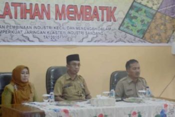 Dekranasda Indragiri Hilir Apresiasi Pembinaan Kerajinan Batik