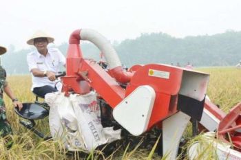 Bupati Rohil Ingatkan Petani Jangan Alih Fungsi Lahan