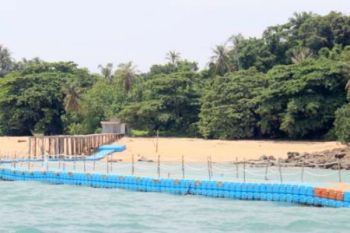 Pulau Jemur Akan Di Bangun Tower Telkomsel