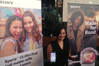 Perlambatan Ekonomi tak Pengaruhi Harga Sony