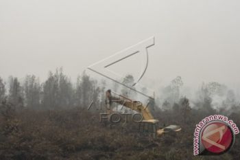 Pembuatan Bloking Kanal Sesuai Peta Rawan Kebakaran Hutan
