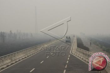 Luhut Ajak 4 Menteri Tinjau Lokasi Kebakaran di Pulang Pisau