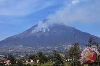 Hutan Gunung Sindoro Kembali Terbakar