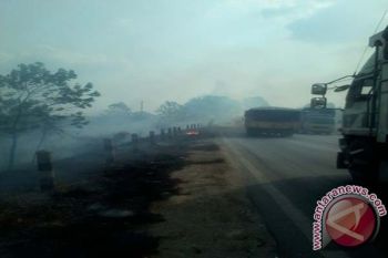 Kebakaran Lahan Mesuji Lampung Ganggu Pengguna Jalintim 