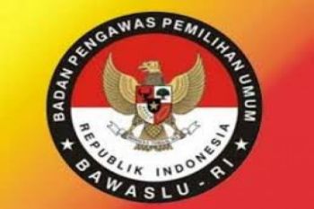 Pengawas pemilu dari mancanegara ikut memantau pilkada