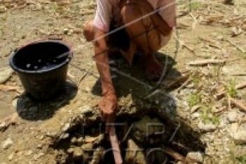 20 Kecamatan di Sragen Alami Kekeringan