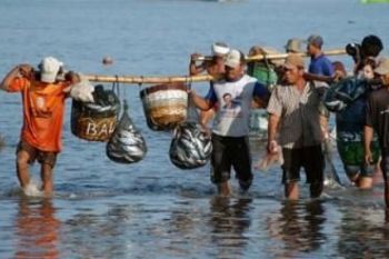 Puncak Panen Ikan Diperkirakan Mulai Oktober-November