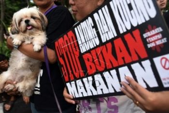 Tingkat Konsumsi Tinggi, Jateng Awasi Peredaran Daging Anjing 