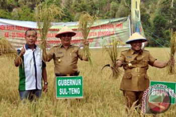 Gubernur: Parigi Moutong harus tingkatkan produksi beras