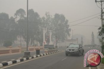 Kota Buntok Kembali Diselimuti Kabut Asap Pekat 