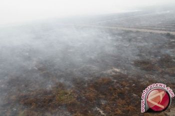 12 Perusahaan Tersangka Kasus Kebakaran Hutan-Lahan