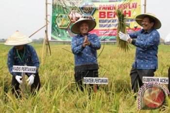 Gebyar Pembenihan Tanaman Pangan 2015