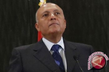 Mesir Berikrar Perjuangkan Palestina Di DK PBB