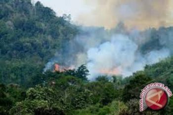 BMKG: 102 Titik Api Di Sulawesi 
