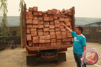Polres Barut Amankan Truk Angkut Kayu Ilegal 