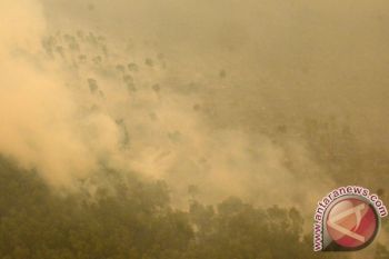 BNPB: Hutan di Sulawesi Terbakar, Terdapat 801 Titik Api