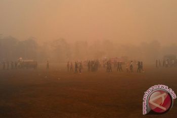 Ratusan ASN Dikerahkan Padamkan Lahan Terbakar