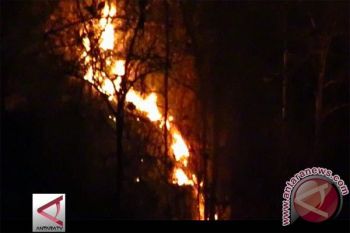 Sebagian lahan di Kulon Progo terbakar 