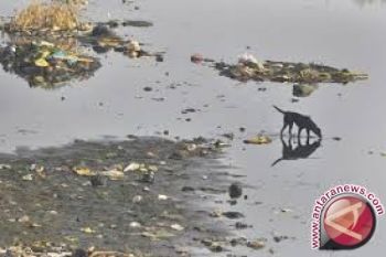 Anak Sungai Musi mendangkal karena tumpukan sampah