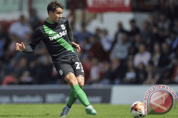 Stoke City Bekap Swansea 1-0