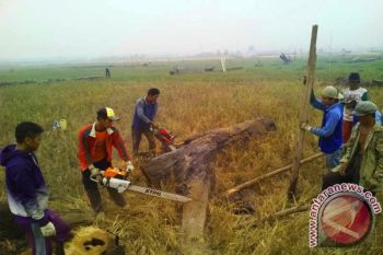 Barut Optimasi Lahan Untuk Musim Tanam 2015/2016 