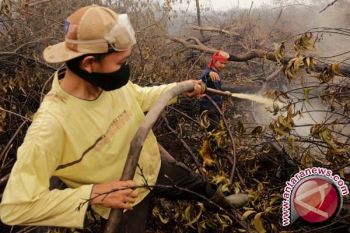 Gubernur Terbitkan Edaran Penanggulangan Kebakaran Hutan 