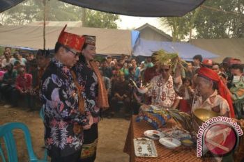 Bupati Barsel Dinobatkan Jadi Sesepuh Suku Lawangan