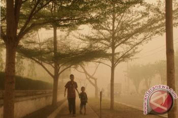 Kuala Pembuang Kembali Diselimuti Kabut Asap 