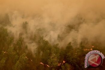 Ada sembilan titik panas di Sumatera