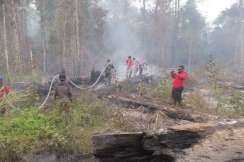 Dandim imbau warga Merauke tidak bakar hutan