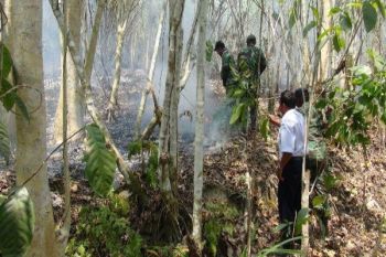TNI di Manokwari berhasil padamkan api di kawasan hutan