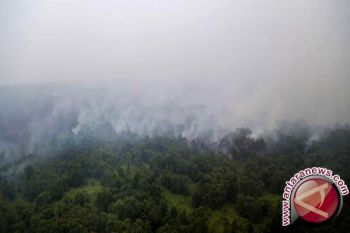 Kebakaran Hutan Luwu Timur Capai 541,85 Hektare