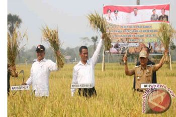 26 Kabupaten Terancam Tidak Dapat Bantuan Kementan 