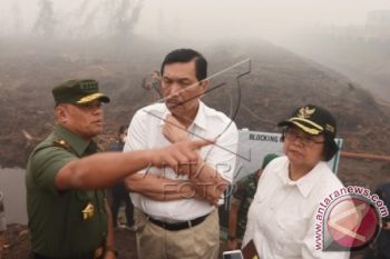 Tinjau Lokasi Kebakaran di Pulang Pisau