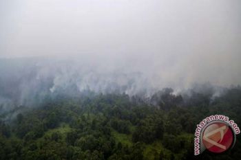 Legislator: Perusahaan Migas-Tambang Harus Bantu Korban Asap