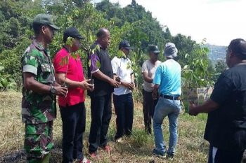 Kodim 1701/Jayapura tanam pohon di Polimak IV