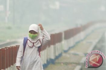 BENCANA ASAP - BMKG: 557 Titik Panas Tersebar di Sumatera