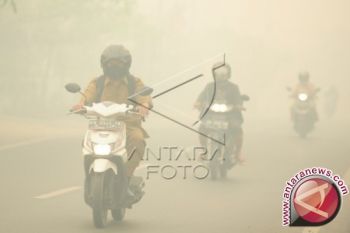 Wagub Kalteng Ingatkan Penanganan Bencana Terus Dievaluasi 