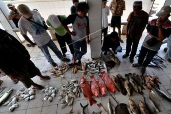 Produksi Ikan di TPI Pekalongan Stabil
