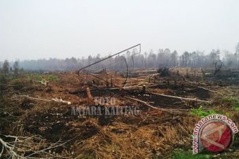 Pemprov Kalteng Siapkan Sanksi Untuk Kepala Daerah Terkait Karlahut                     