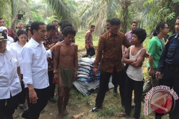 Presiden Jokowi Pantau Lahan Terbakar di Tumbang Nusa