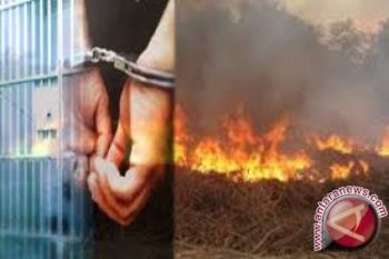  Menangkap Pembakar Hutan Butuh Dukungan Masyarakat 